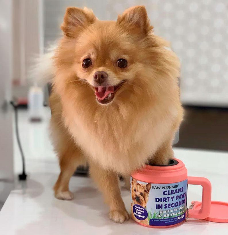 Paw Plunger Pink 5.25 Inch L X 3.5 Inch W X 4 Inch H Gentle Paw Cleaner to Keep Your Home and Car Dirt-Free