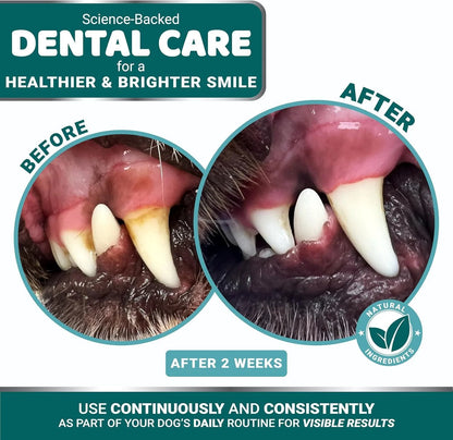 Dog Dental Powder 60 Scoops Breath Freshener with Multivitamin Dog Teeth Cleaning Powder Tartar and Plaque off Remover for Dogs Lab Co Probiotics Pet Oral Care Immune Support Vitamins and Supplements