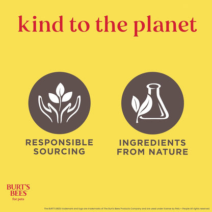 Burt'S Bees for Pets Cat Dander Remover Wipes with Colloidal Oat Flour - Pet Dander Remover Cat Wipes for Allergy Relief, Dry Skin Relief for Cats and Kittens, 50 Count