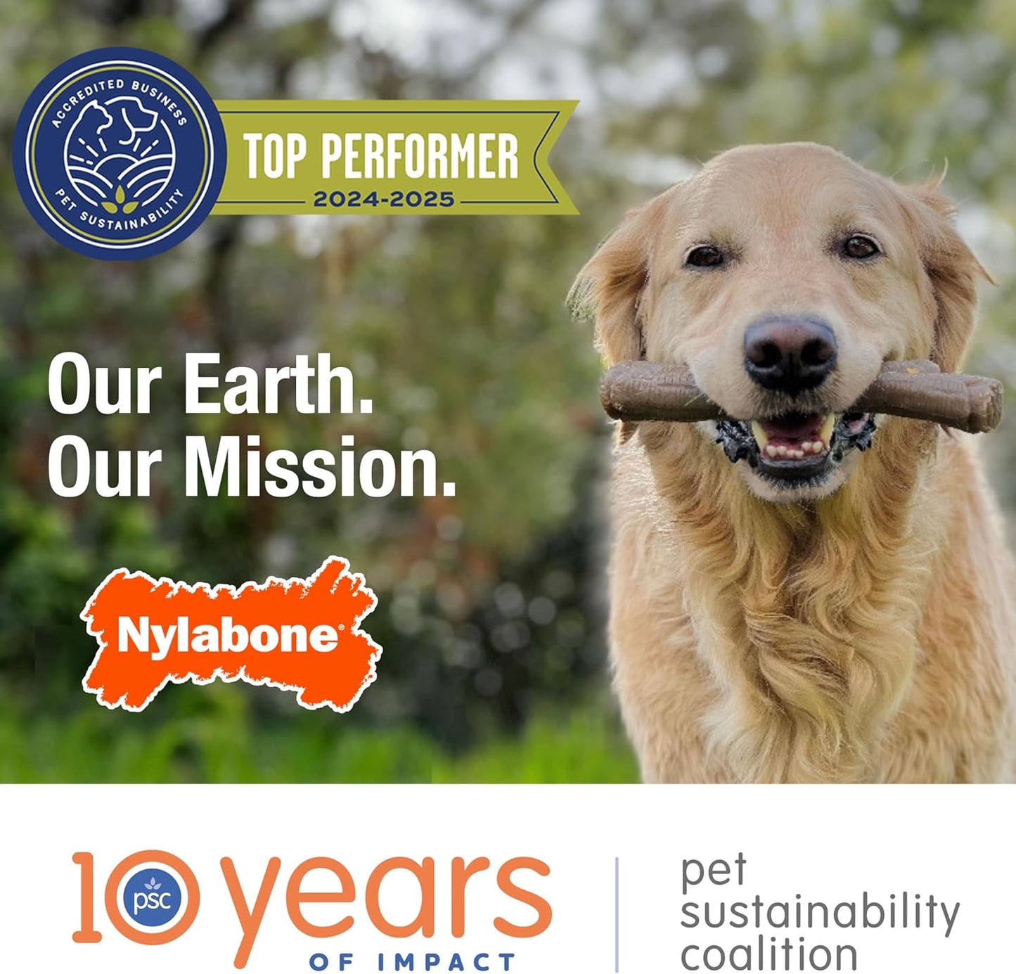 Nylabone Double Action Bone Power Chew Toy for Dogs, Dog Toys for Aggressive Chewers, Bacon Flavor, X-Large - 50+ Lbs, 1 Count