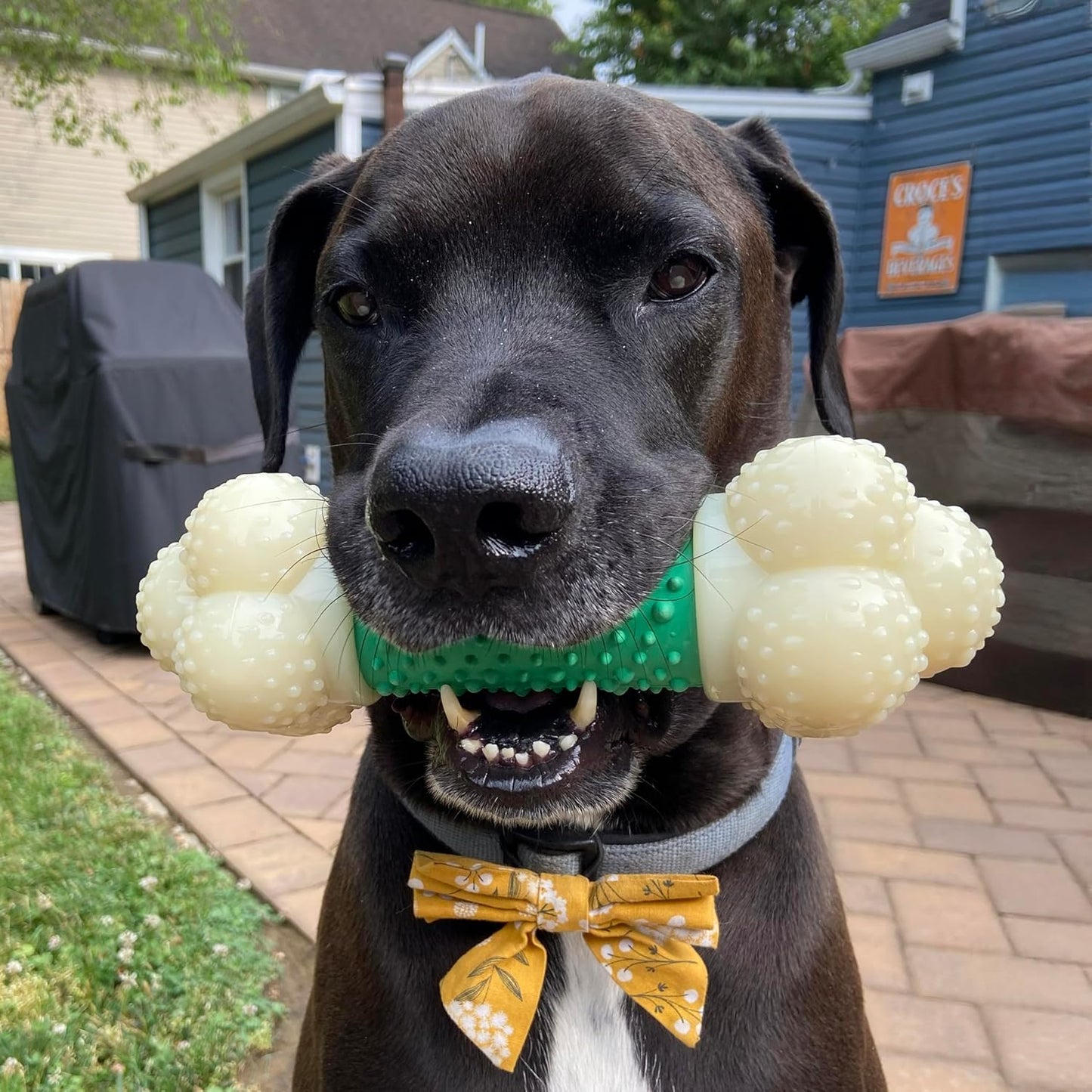 Nylabone Double Action Bone Power Chew Toy for Dogs, Dog Toys for Aggressive Chewers, Bacon Flavor, X-Large - 50+ Lbs, 1 Count