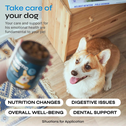 Probiotics for Dogs Dog Probiotic Chews for Digestive and Gut Health Dental Immune System Support Chewable Prebiotic Soft Treats Wild Yam Yeast Powder Diarrhea and Bowel Support Supplement